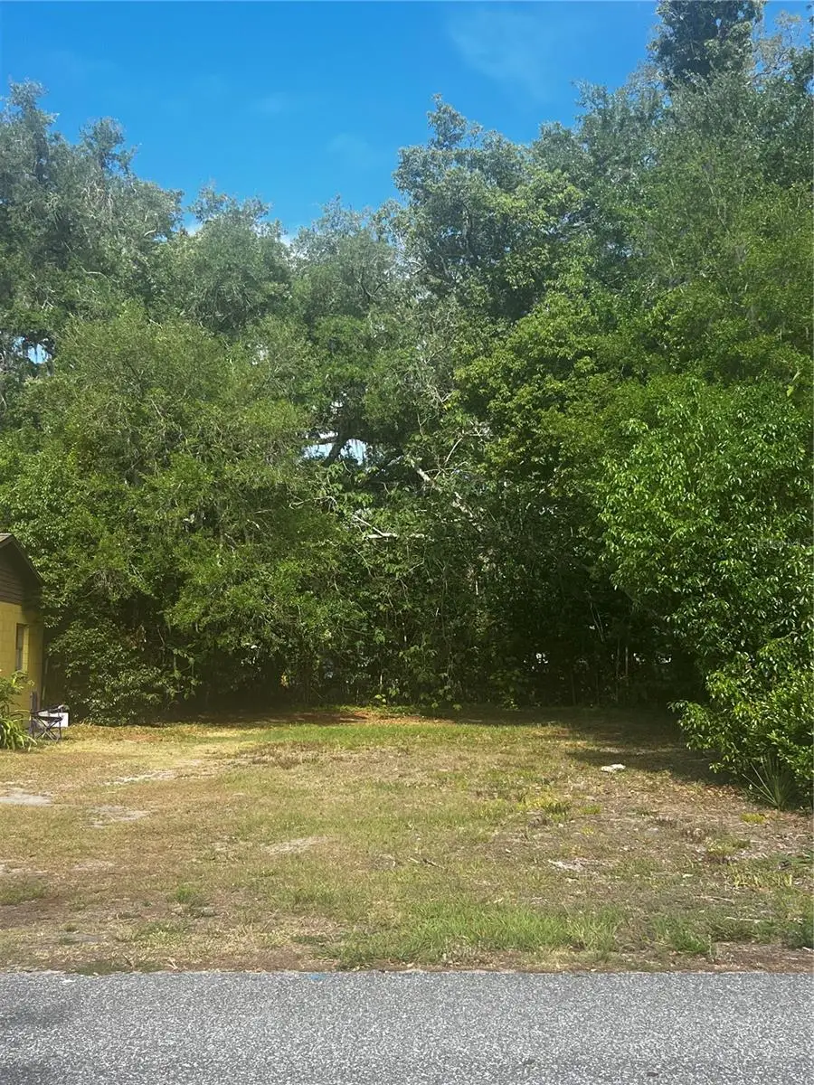 1109 Stinson Street, Leesburg, FL 34748 - #2