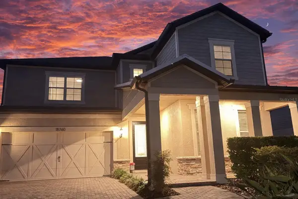 18760 Birchwood Groves Drive, LUTZ, FL 33558