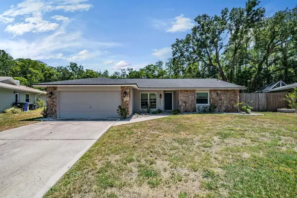 4218 Summerdale Drive, TAMPA, FL 33624