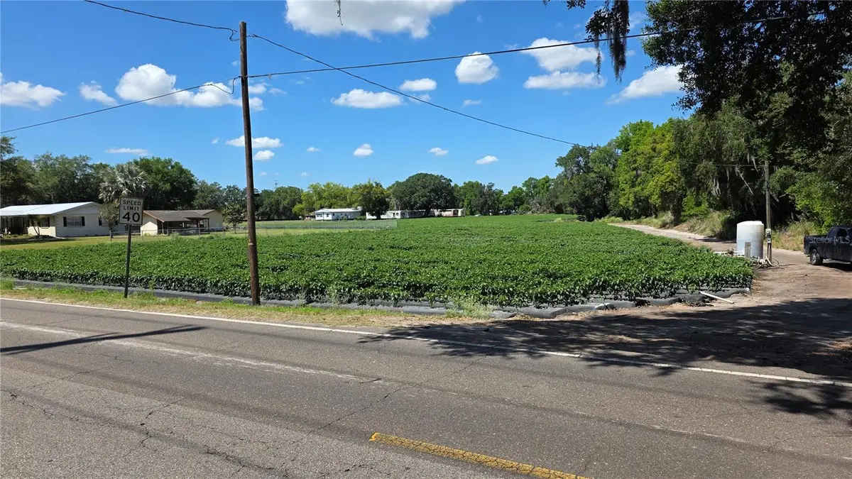 Gallagher Road, Dover, FL 33527 - #1