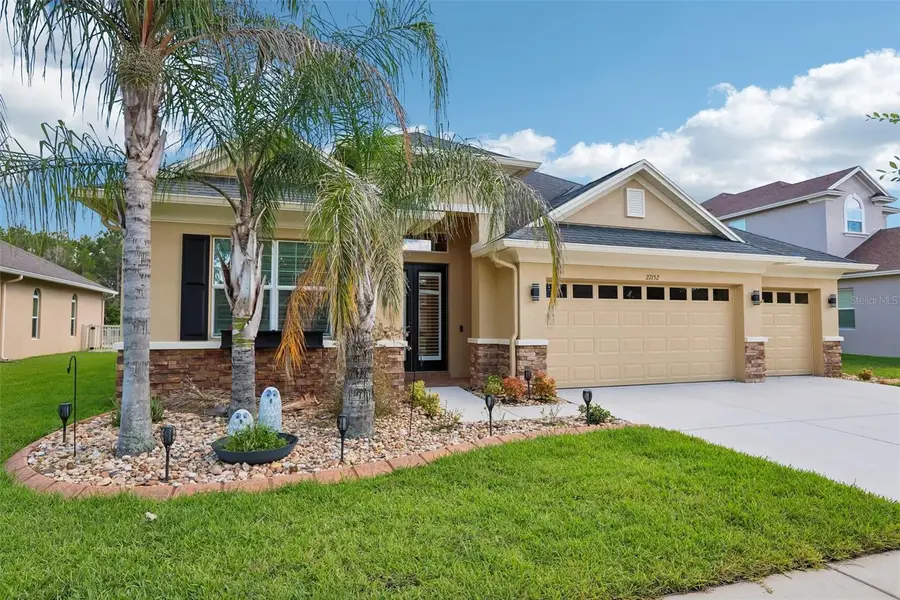 27152 Sora Boulevard, Wesley Chapel, FL 33544 - #2