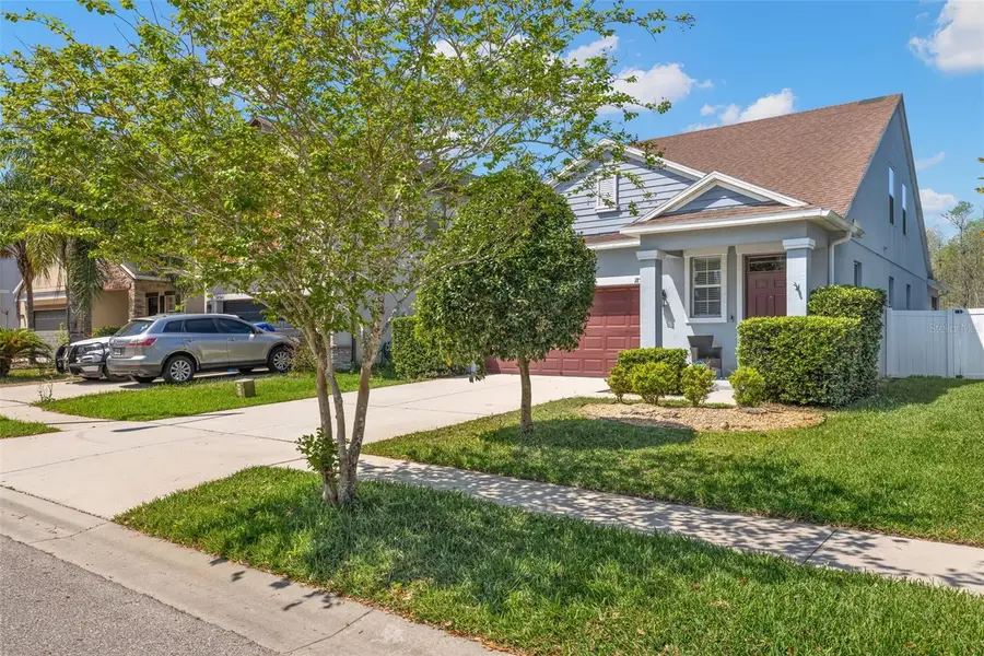 18928 Hampstead Heath Court, Land O Lakes, FL 34638 - #3