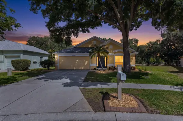 30709 Lanesborough Circle, WESLEY CHAPEL, FL 33543