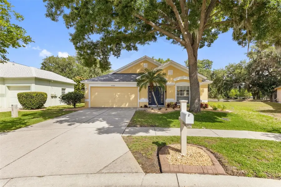 30709 Lanesborough Circle, Wesley Chapel, FL 33543 - #2