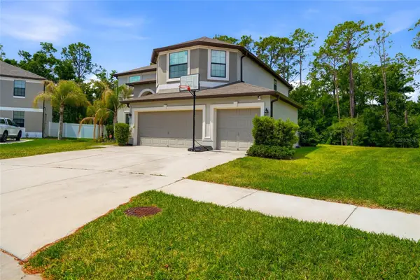6563 Paden Wheel Street, ZEPHYRHILLS, FL 33541
