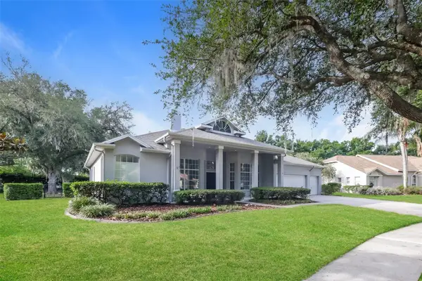 3810 Spruce Pine Drive, VALRICO, FL 33596