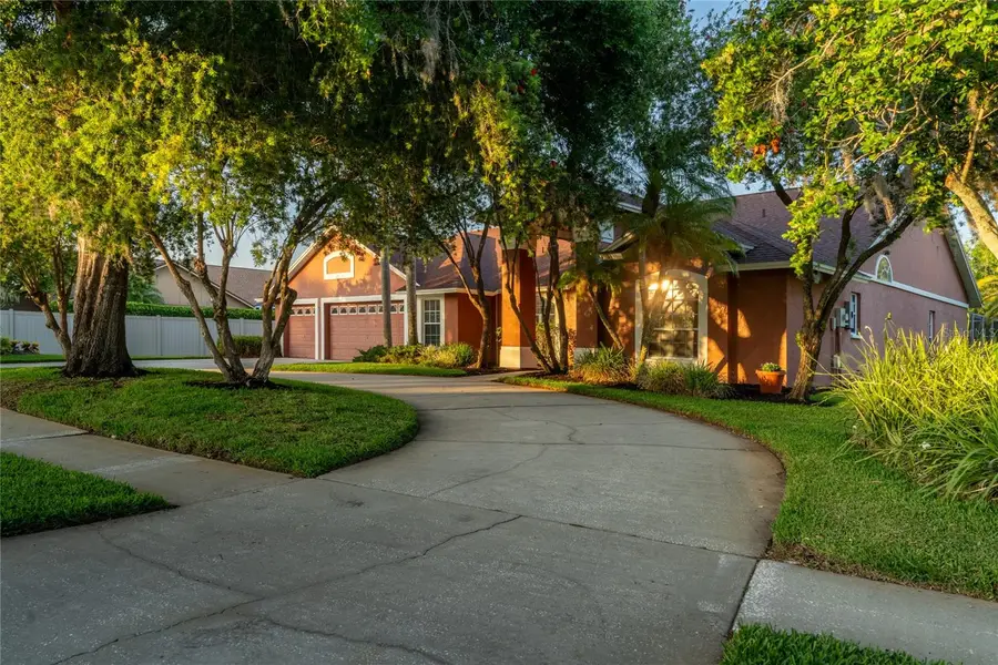 17005 Equestrian Trail, Odessa, FL 33556 - #3