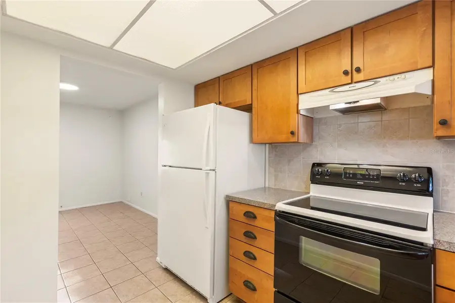 1248 Lazy Lake Road W, Dunedin, FL 34698 - #3