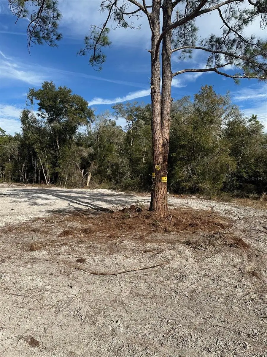 Berryhill Drive, Webster, FL 33597 - #2