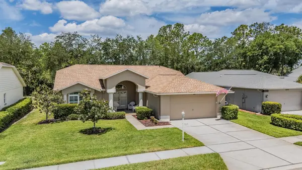 1237 Almondwood Drive, TRINITY, FL 34655