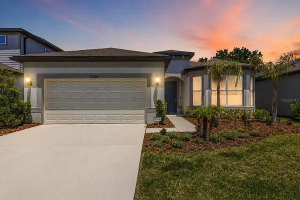 2940 Forest Meadow Avenue, VALRICO, FL 33594