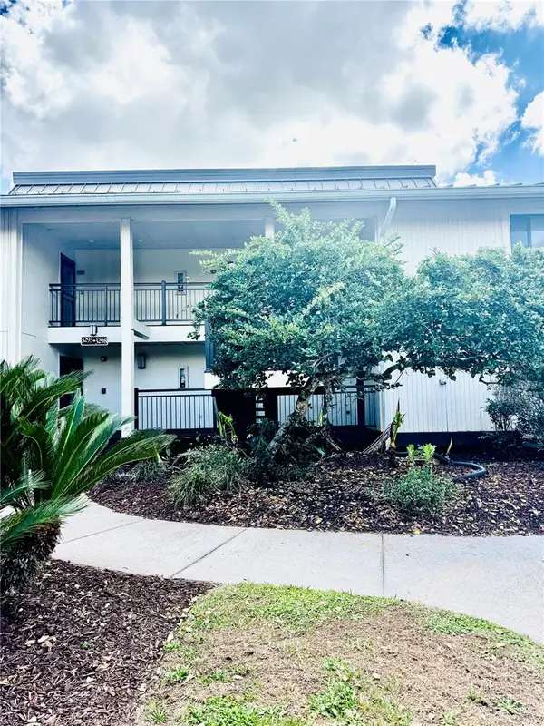 29200 Bay Hollow Drive #3295, WESLEY CHAPEL, FL 33543