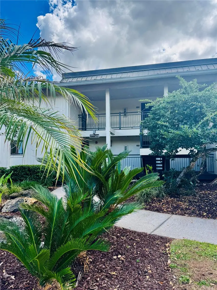 29200 Bay Hollow Drive #3295, Wesley Chapel, FL 33543 - #2