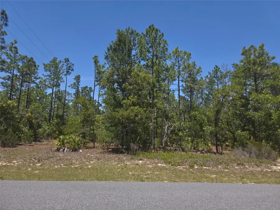 4231 W Bonanza Drive, Beverly Hills, FL 34465 - #2