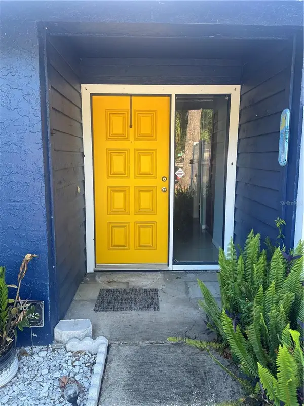 2376 Windsor Oaks Avenue, LUTZ, FL 33549