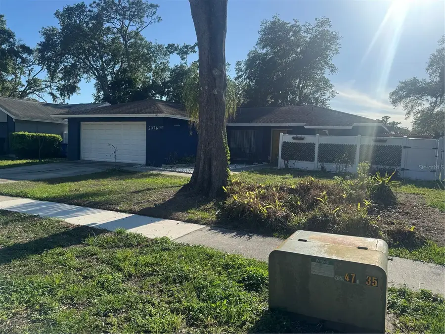 2376 Windsor Oaks Avenue, Lutz, FL 33549 - #3