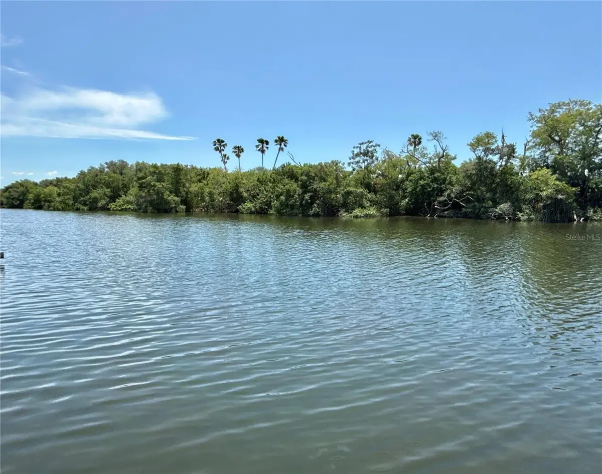 460 Mount Oak Avenue Ne #745, Saint Petersburg, FL 33702 - #1