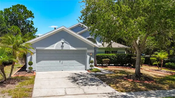 6711 Somerset Garden Way, APOLLO BEACH, FL 33572