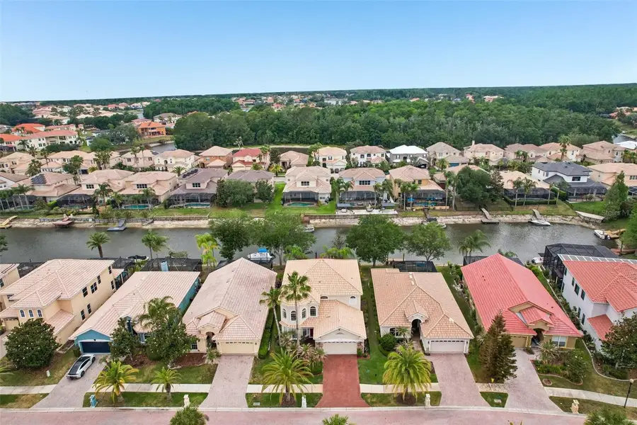 18032 Malakai Isle Drive, Tampa, FL 33647 - #2