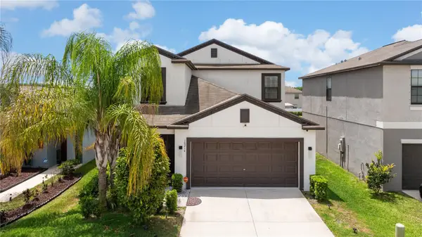 10216 Carloway Hills Drive, WIMAUMA, FL 33598