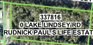 Lake Lindsey Road, Nobleton, FL 34661 - #3