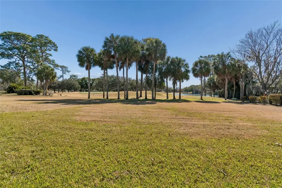 29244 Whipporwill Lane, Wesley Chapel, FL 33543 - #3