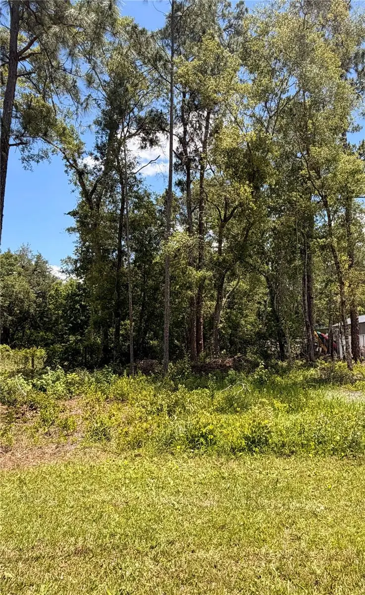 6327 Fig Avenue, Webster, FL 33597 - #3