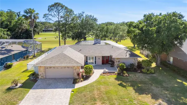 405 Holly Hill Road, OLDSMAR, FL 34677
