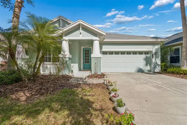 20133 Heron Crossing Drive, TAMPA, FL 33647