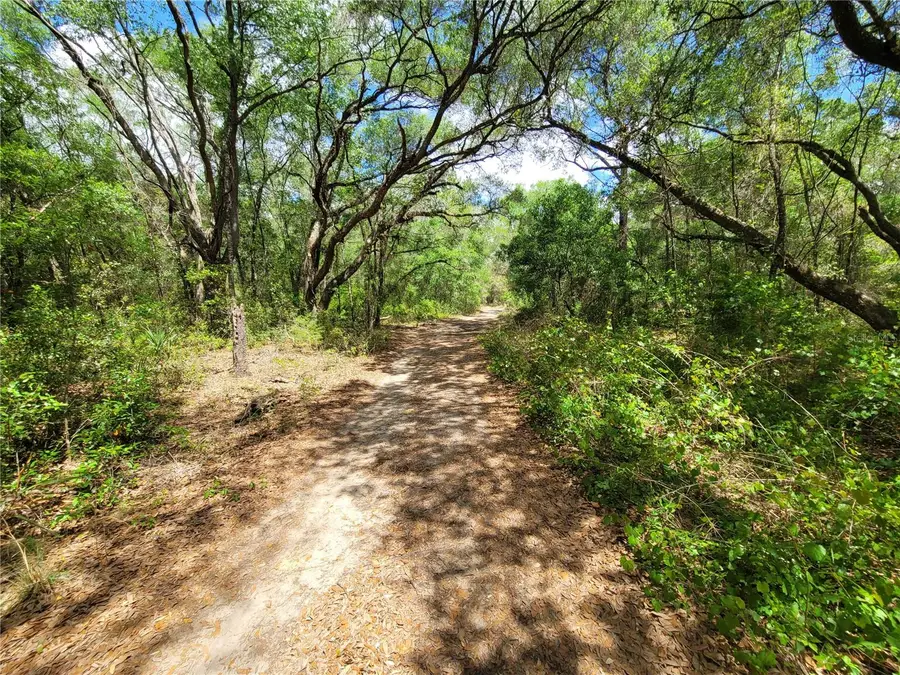912 Ferncreek Avenue, Inverness, FL 34453 - #3