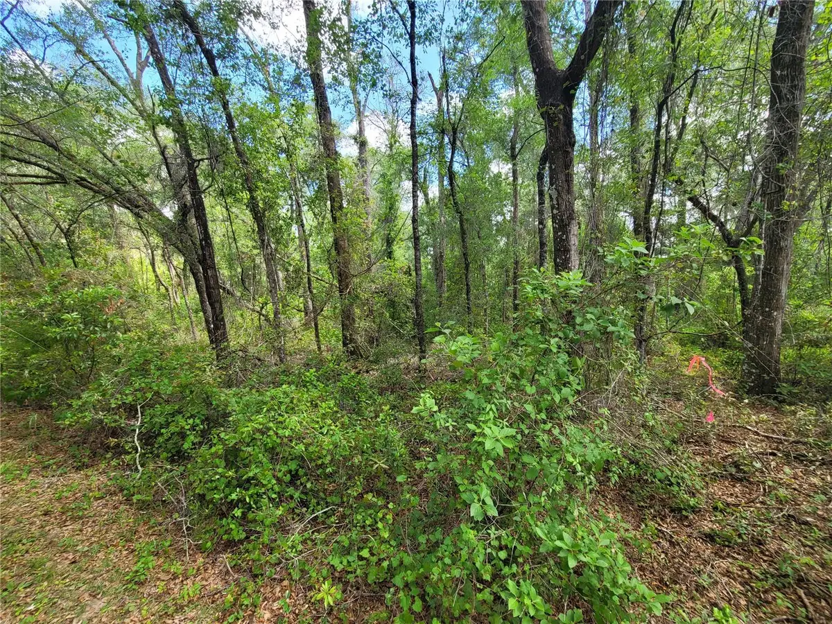 910 Ferncreek Avenue, Inverness, FL 34453 - #1
