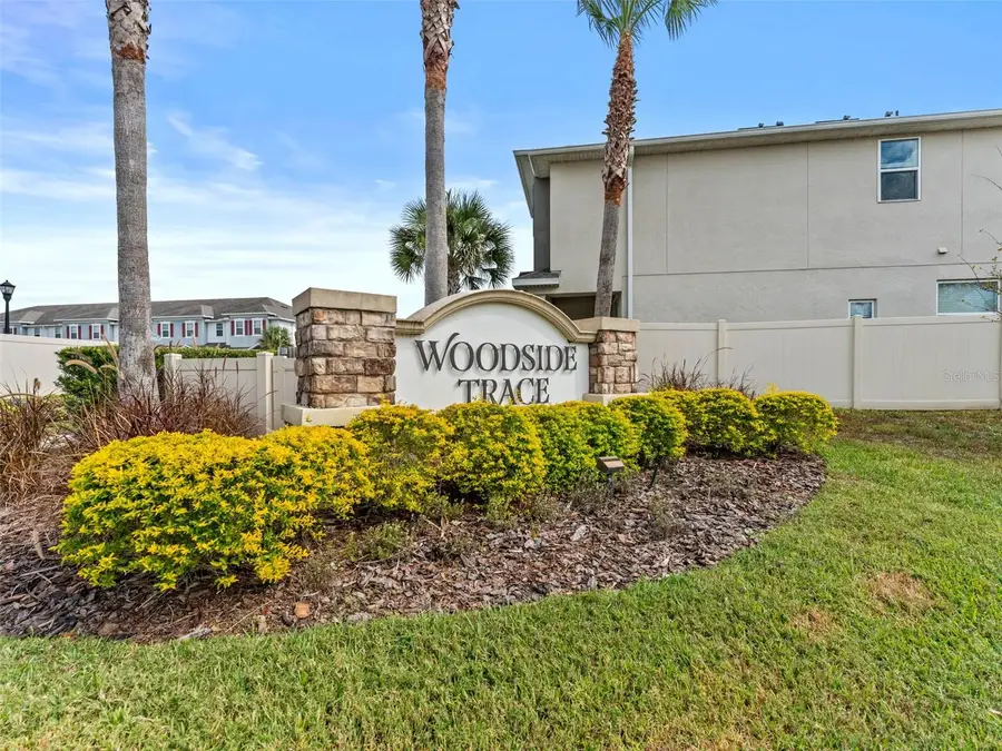 26399 Limestone Springs Way, Wesley Chapel, FL 33544 - #2