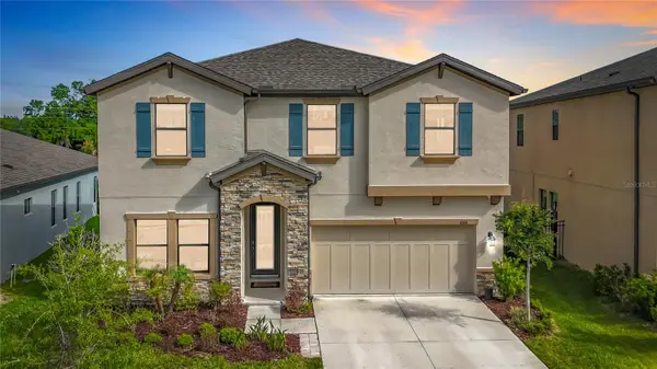 12611 Shetland Walk Drive, LITHIA, FL 33547