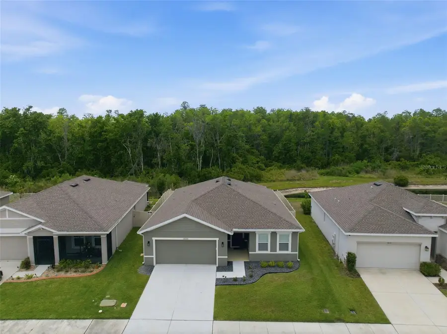10325 Gliding Eagle Way, Land O Lakes, FL 34638 - #2