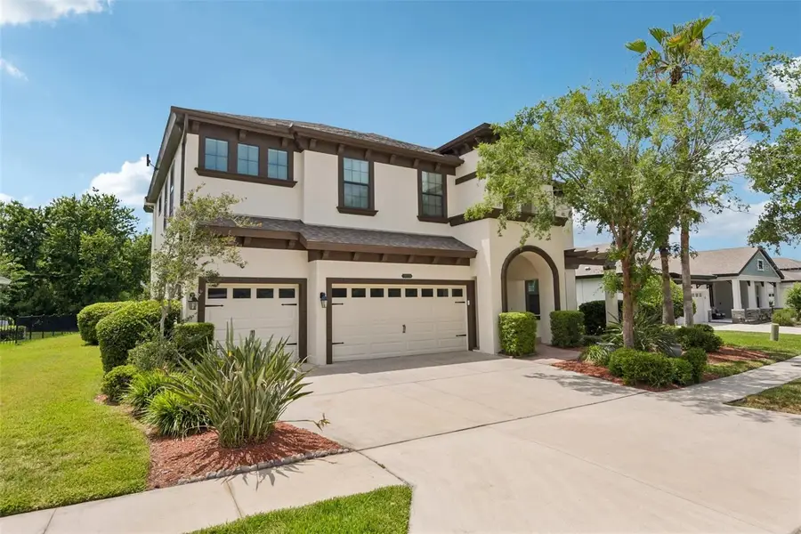 8355 Swiss Chard Circle, Land O Lakes, FL 34637 - #2