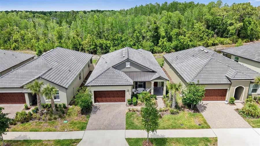 10395 Banyan Breeze Boulevard, Land O Lakes, FL 34638 - #2