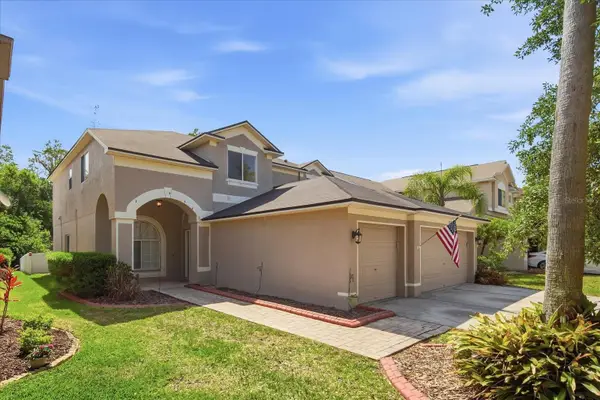 19321 Sandy Springs Circle, LUTZ, FL 33558