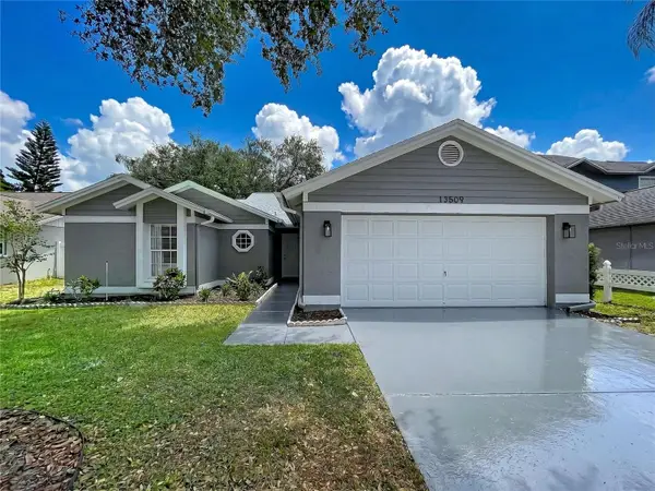 13509 Fawn Ridge Boulevard, TAMPA, FL 33626