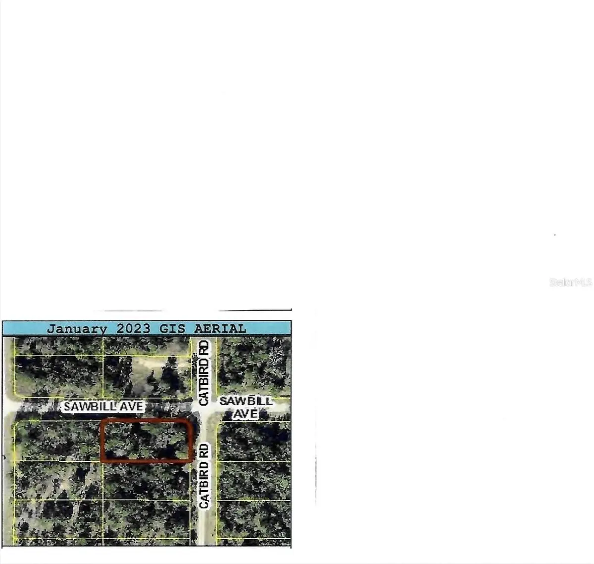 Catbird Road, Weeki Wachee, FL 34614 - #1