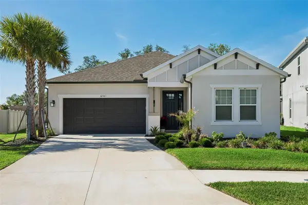 10561 Tranquil Meadow Loop, RIVERVIEW, FL 33569