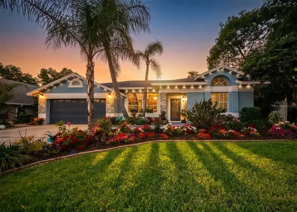 2009 River Park Court, VALRICO, FL 33596