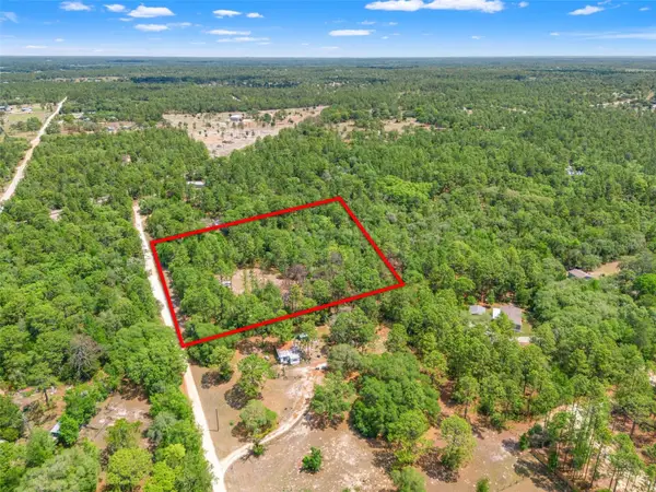 9031 N Manila Terrace, DUNNELLON, FL 34433