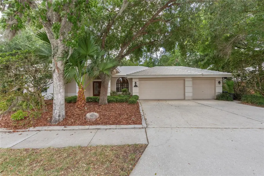 50 Kelleys Trail, Oldsmar, FL 34677 - #2