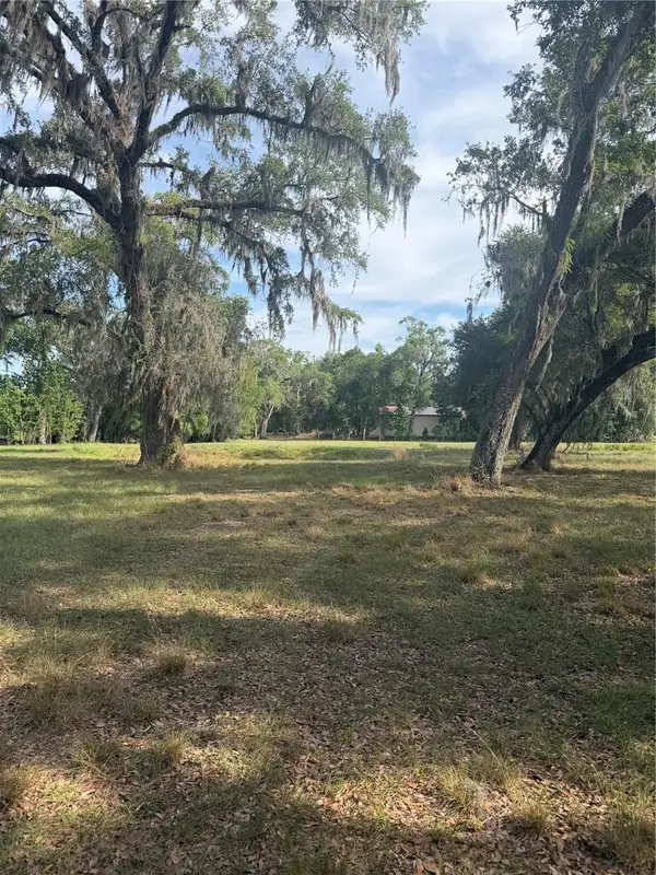 000 Palomino Lakes Dr, DADE CITY, FL 33523