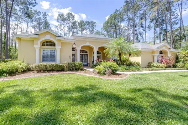 313 Pine Bluff Drive, LUTZ, FL 33549