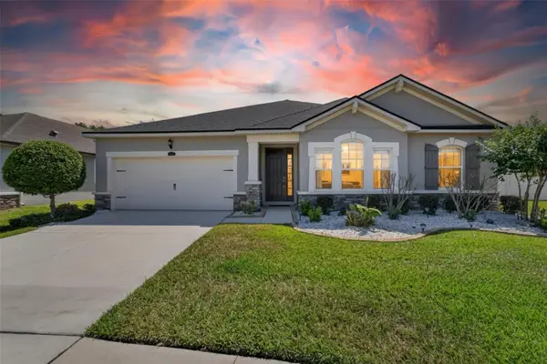 13017 Satin Lily Drive, RIVERVIEW, FL 33579