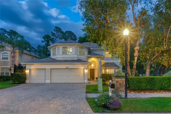 15501 Kingsmill Place, ODESSA, FL 33556