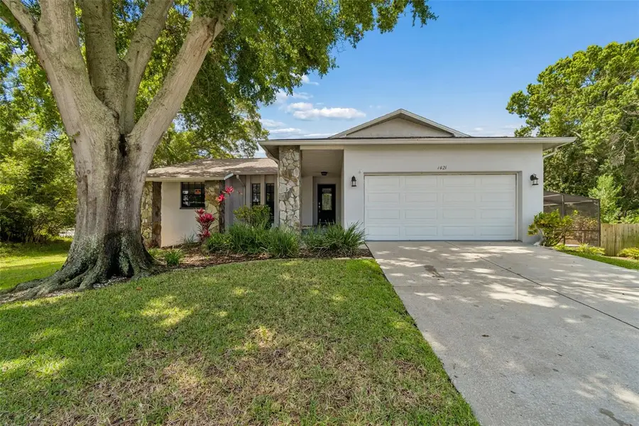 1421 Ironworks Lane, Tarpon Springs, FL 34689 - #2