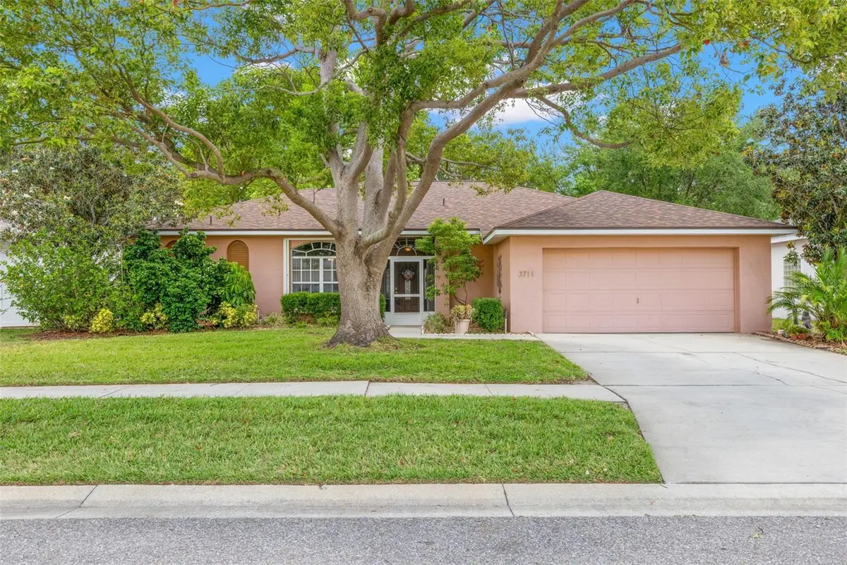 3711 Palmas Lane, Sun City Center, FL 33573 - #1