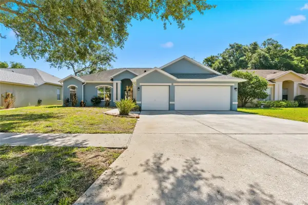 1115 Lumsden Trace Circle, VALRICO, FL 33594
